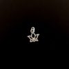 Lotus Charms - Image 3